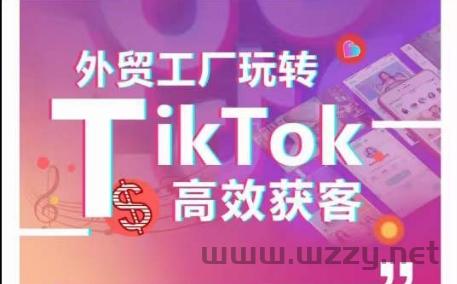 外贸工厂玩转TikTok高效获客，多种引流方式与账号定位技巧，拆解爆款短视频打造成功案例